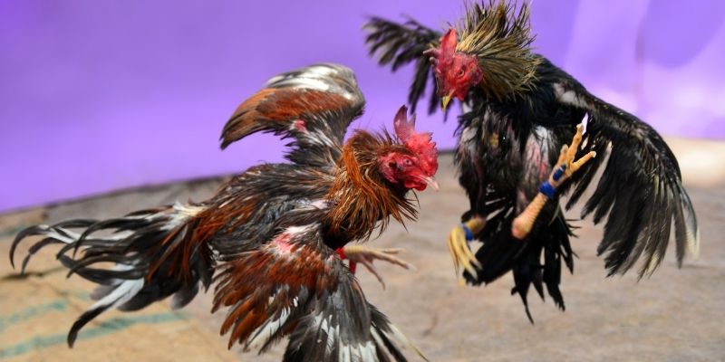 hgame18 KM Game Bài 3d