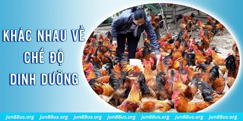 hgame18 xổ số miền nam thứ năm hàng tuần