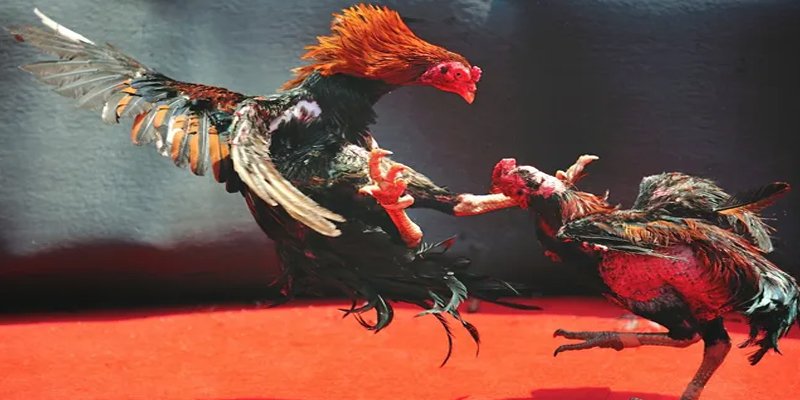 hgame18 bắn cá h5 chơi ngay