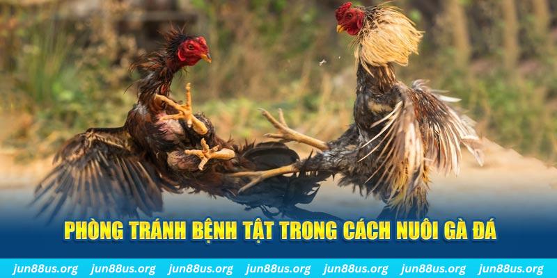 hgame18 đăng nhập phỏm online