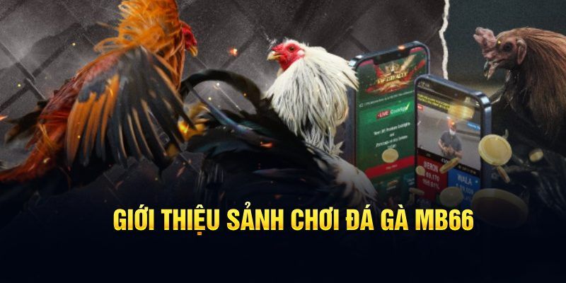 hgame18 đăng nhập poker hôm nay