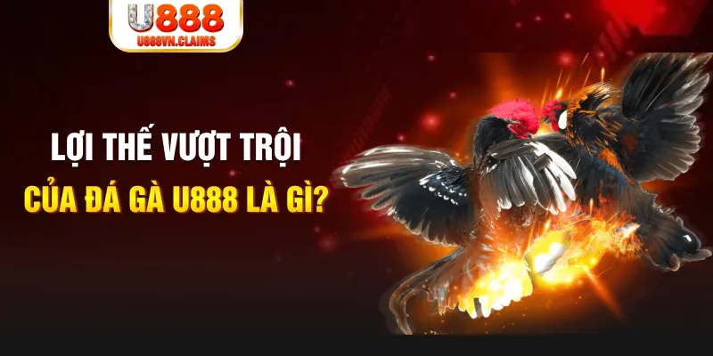 hgame18 168G Điện Tử